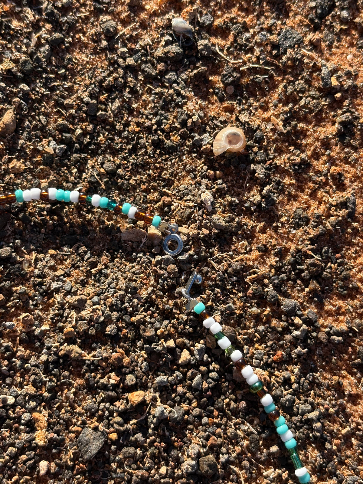 Hawaiian Shell Necklace